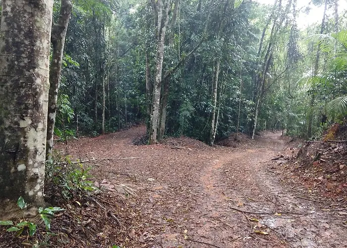 Pousada Flor Nativa